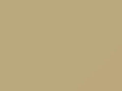 Light Beige touch-up paint for Nissan, code E34, 2020