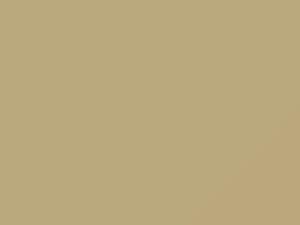 Light Beige touch-up paint for Nissan, code E34, 2020