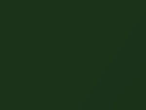 Fairway Green Metallic touch-up paint for Chevrolet S Class, code 309D, 87, GXN, WA309D, 1998