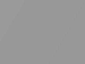 Arctic Silver Metallic touch-up paint for Porsche, code 92T, 92U, X1, 1998