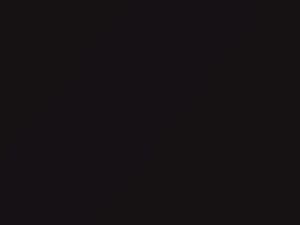 Black Walnut Pearl touch-up paint for Toyota, code 3P5, 2002