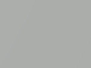 Moondust Silver Metallic touch-up paint for Ford Transit Connect, code TY, 2015