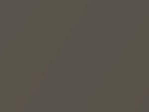 Light Grayish Metallic touch-up paint for Toyota, code 1A2, 2000