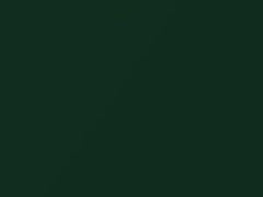 Savannah Green Mica touch-up paint for Hyundai, code FS, 2002