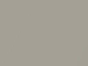 Moonbeam Beige Metallic touch-up paint for Lexus, code 4X8, 2021