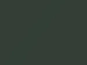Agave Green Metallic touch-up paint for Mitsubishi, code 361, CNG10096, G96, 2009