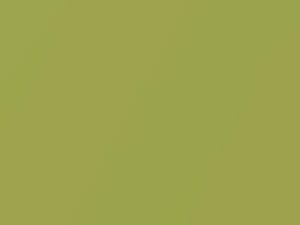 Mercedes-Benz Designo Hellgruen Metallic/Electric Green Metallic touch up paint 0024 2001 All Models