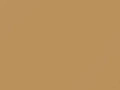 Tan touch-up paint for Chevrolet, code 61, 8265 + alternatives, 1994