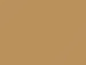Tan touch-up paint for Chevrolet, code 61, 8265 + alternatives, 1994