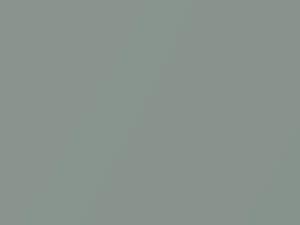 Greenish Silver Metallic touch-up paint for Daihatsu, code S29, 2002