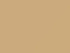 Dubai Taxi Beige touch-up paint for Volkswagen, code 9167, D1M, LD1M, 2011