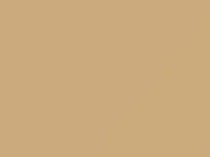 Dubai Taxi Beige touch-up paint for Volkswagen, code 9167, D1M, LD1M, 2011