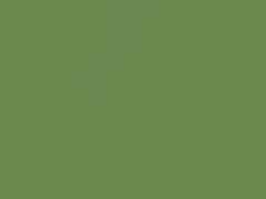 Sea Grass Green Metallic touch-up paint for Nissan, code J13, 2004