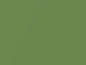 Sea Grass Green Metallic touch-up paint for Nissan, code J13, 2004