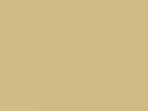 Mercedes-Benz C Class Hellelfebein touch up paint 1-623 2008 ClassC