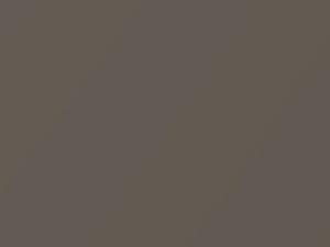 Grayish Brown Metallic touch-up paint for Toyota, code 4P9, 1999