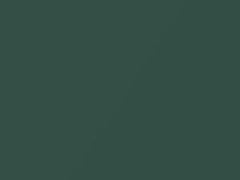 BMW Sea Green Metallic touch up paint 393 2001 All Models