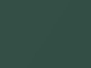 BMW 3 Series Sea Green Metallic touch up paint 393 2001 3-SERIES