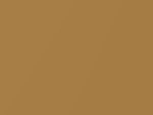 Light Brown Metallic touch-up paint for Subaru, code 87F, 2011