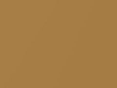 Light Brown Metallic touch-up paint for Subaru, code 87F, 2011