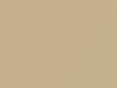 Creme White touch-up paint for Porsche, code 51A, L51A, 2012