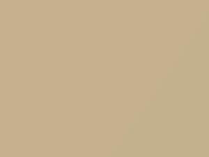 Creme White touch-up paint for Porsche, code 51A, L51A, 2012