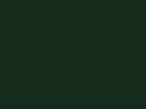 Savanna Green Metallic touch-up paint for Subaru Impreza, code 07V, 2002