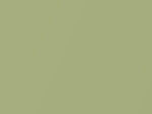 Yellow Green Metallic touch-up paint for Nissan, code J32, 2008
