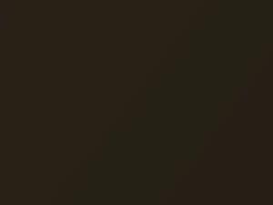 BMW Oliv Metallic touch up paint 469 2001 X5