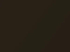 BMW Oliv Metallic touch up paint 469 2004 X5
