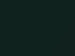 Champlain Green Metallic touch-up paint for Nissan Pickup, code DW0, 2004