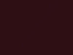 Mercedes-Benz G Class Designo Mystic Red Metallic touch up paint 0037 2004 ClassG