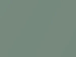 Audi Sage Green Metallic/Silver Green Metallic touch up paint 3G 2007 S8