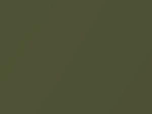 Verde Oliva Metallic touch-up paint for Fiat, code 775, 2011