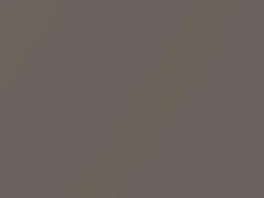 Jarama Beige Metallic touch-up paint for Porsche, code G8, 2003