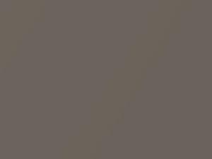 Jarama Beige Metallic touch-up paint for Porsche, code G8, 2003