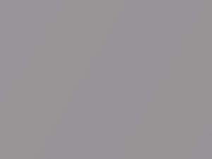 Antique Sterling Metallic touch-up paint for Lexus, code 941, 2005