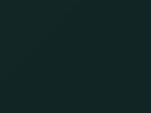 British Racing Green Metallic touch-up paint for Mini Cooper, code A67, 2008