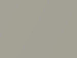Yellowish Silver Metallic touch-up paint for Infiniti, code K32, 2009