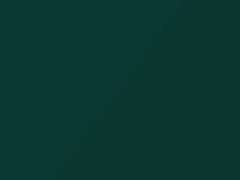 Amazon Green Metallic touch-up paint for Ford Transit, code 19W, 6922 + alternatives, 2004