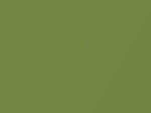 Lime Green Metallic touch-up paint for Honda S2000, code GY19M, 2004