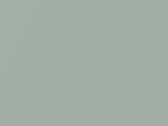 Gray Metallic touch-up paint for Nissan, code DV7, 2001