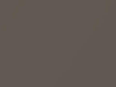 Audi A3 Cabrio Dakarbeige Metallic touch up paint 9X 2006 CabrioA3