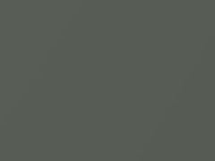 Olive Gray Metallic touch-up paint for Mazda, code 30R, 2006