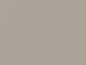 Platinum Metallic touch-up paint for Porsche, code 554, 555, T1, 2001