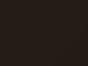 Mercedes-Benz Amg Sepang Brown Metallic touch up paint 491 2015 All Models