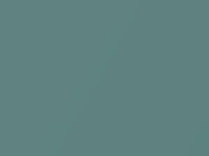 Charleston Green Metallic touch-up paint for Land Rover Discovery, code 610, HET, 1996