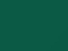 Tropic Green Metallic touch-up paint for Daewoo, code 39U, 2000