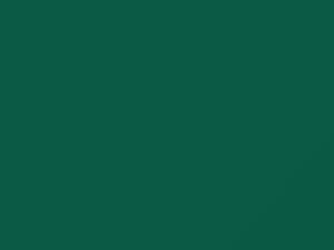 Tropic Green Metallic touch-up paint for Daewoo, code 39U, 2002