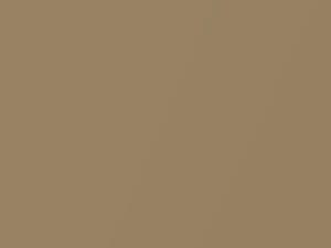 Midnight Gold Pearl touch-up paint for Volvo V50, code 489, 2007